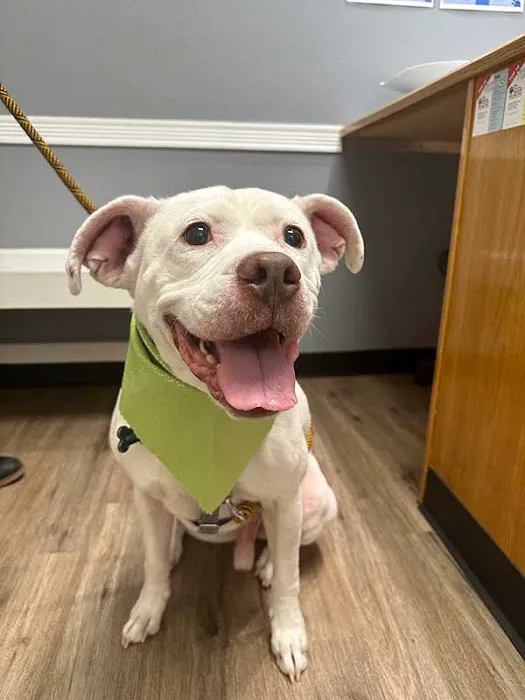 Harmony Road Veterinary Clinic 5