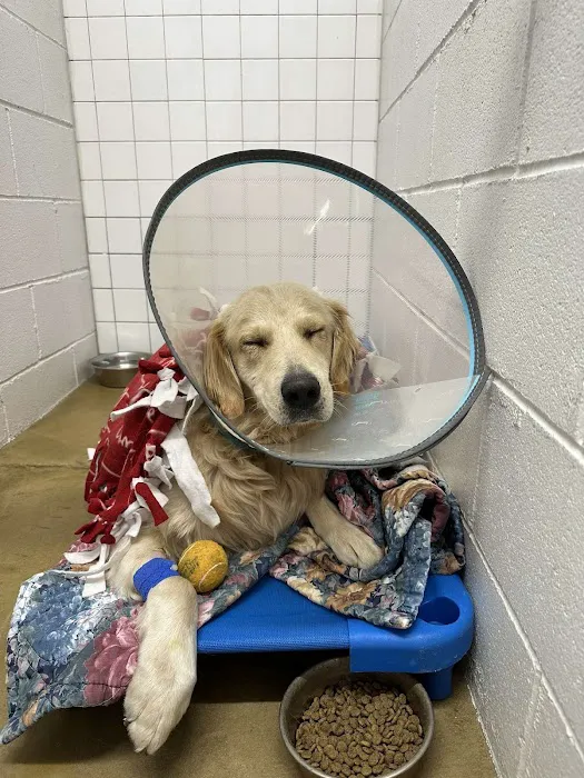 Harmony Road Veterinary Clinic 8