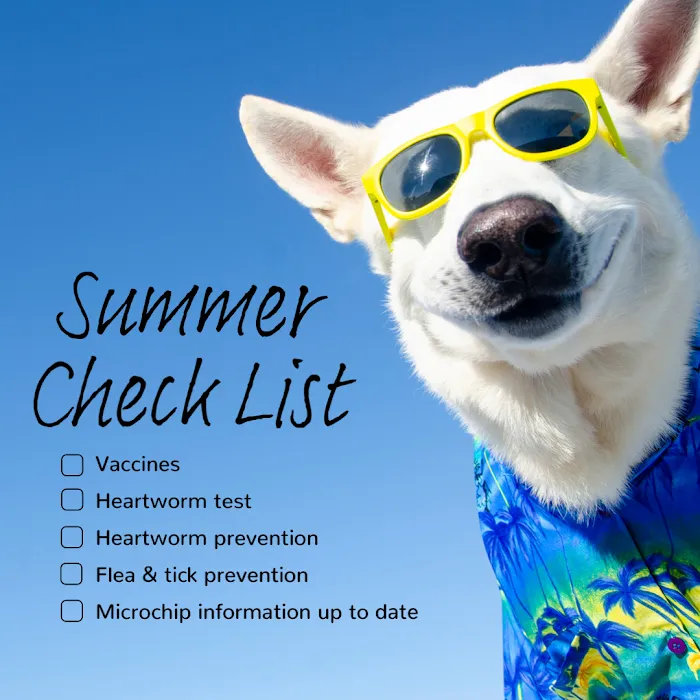 Harmony Road Veterinary Clinic 10