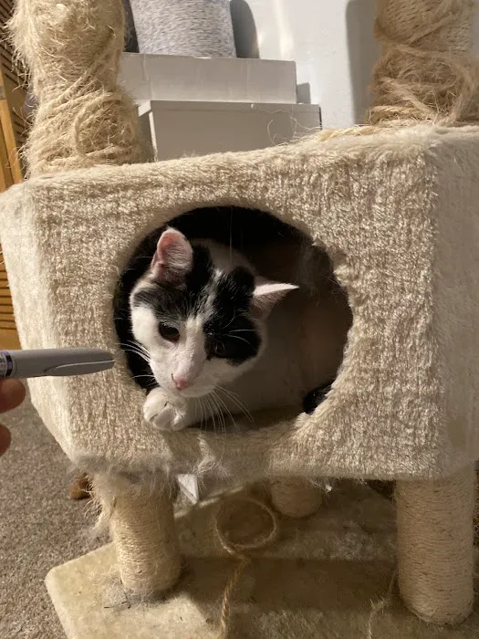 Banfield Pet Hospital 9
