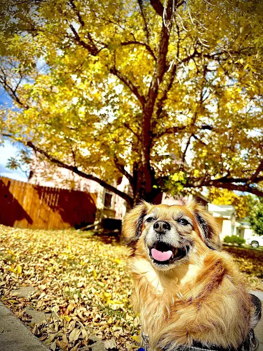 Banfield Pet Hospital 8