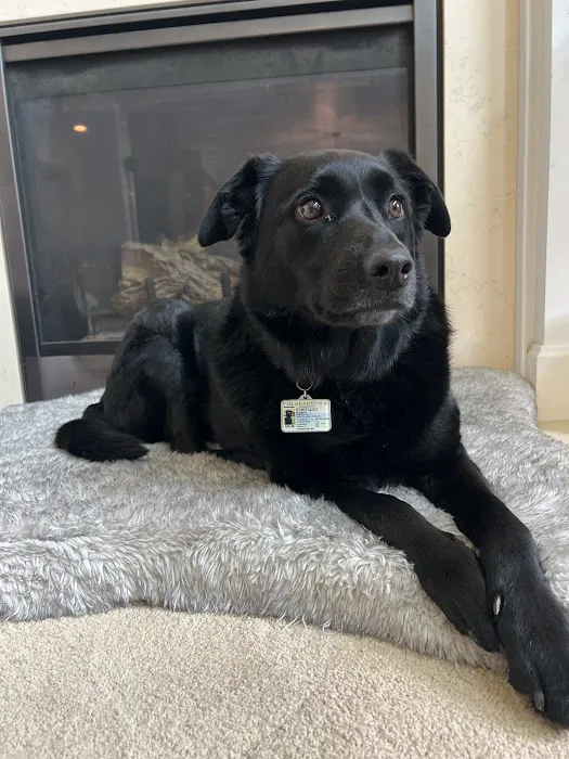 Banfield Pet Hospital 7