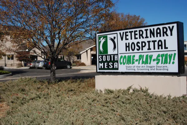 South Mesa Veterinary Hospital 8