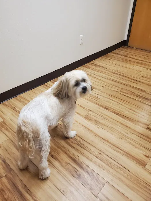 South Mesa Veterinary Hospital 2