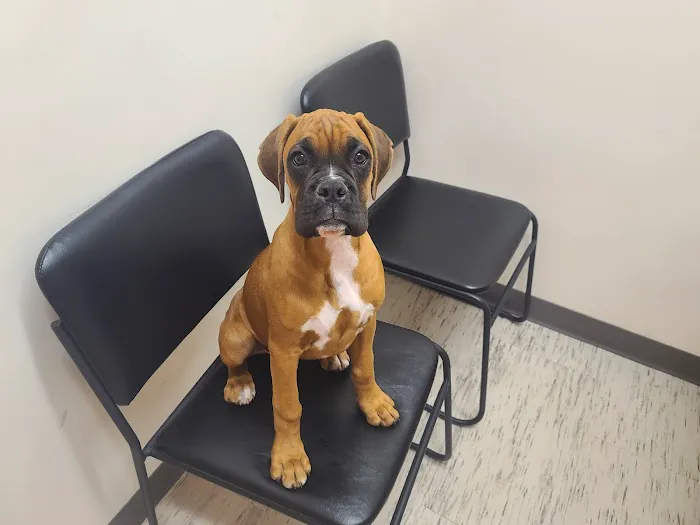 Claremont Ranch Animal Hospital 2