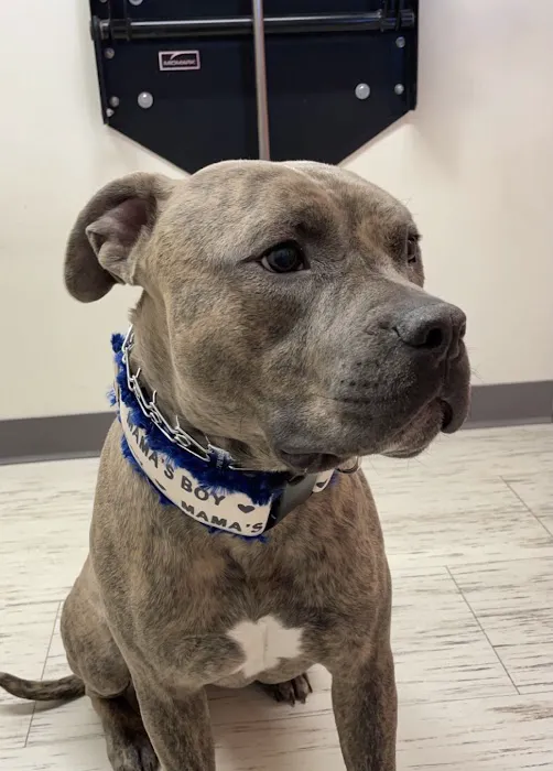 Claremont Ranch Animal Hospital 1