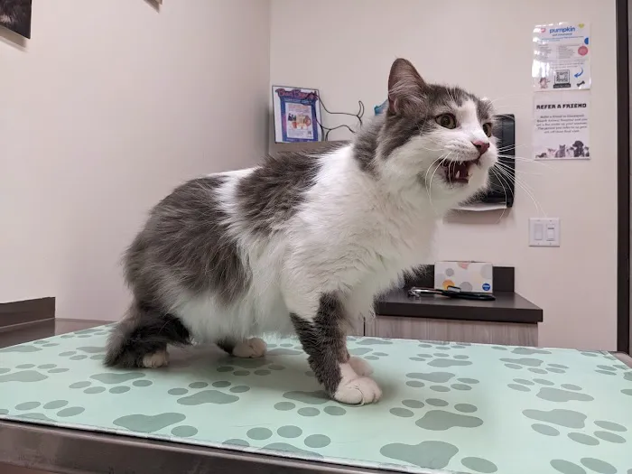 Claremont Ranch Animal Hospital 4