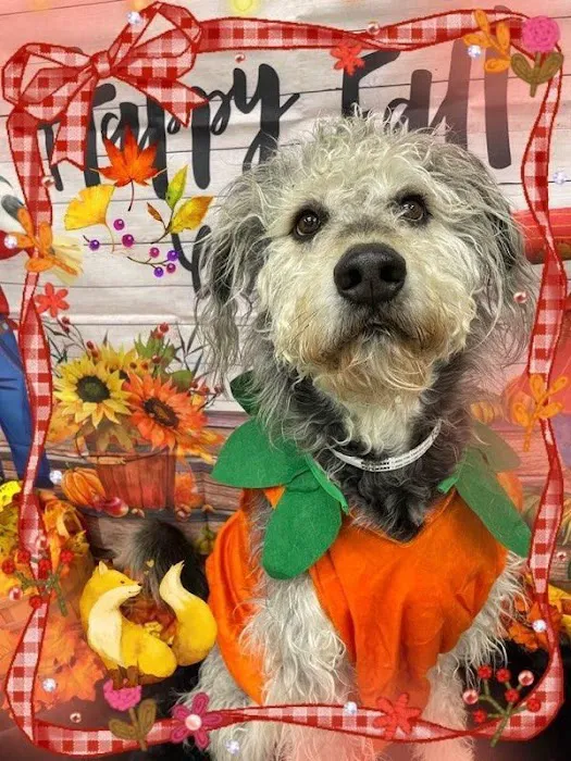 Banfield Pet Hospital 7