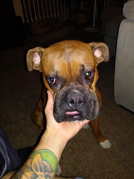 Banfield Pet Hospital 9