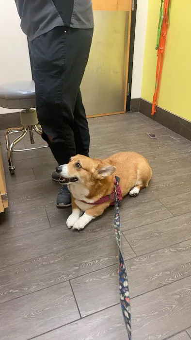 Banfield Pet Hospital 8