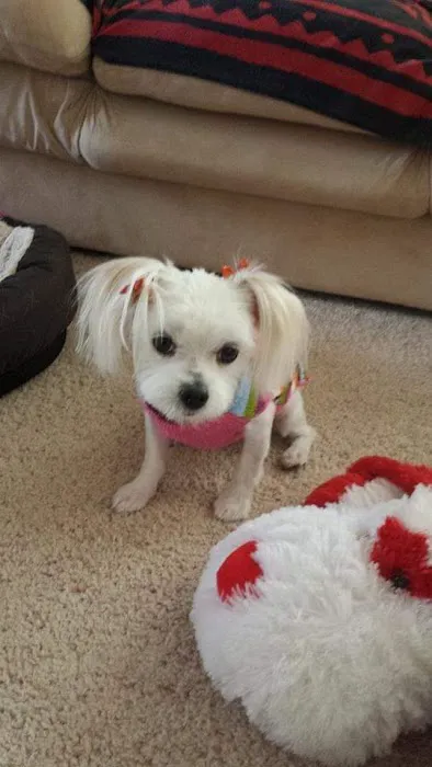 Banfield Pet Hospital 3