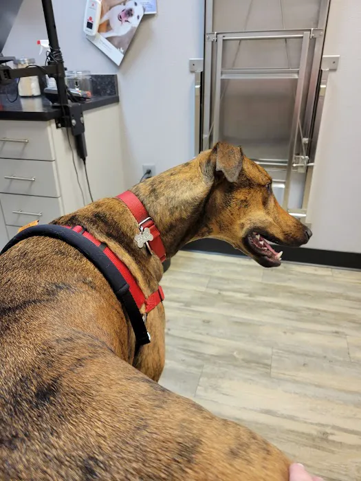 Aspen View Veterinary Hospital 4