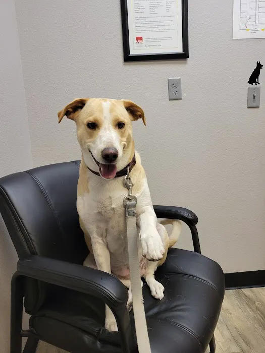 Aspen View Veterinary Hospital 9