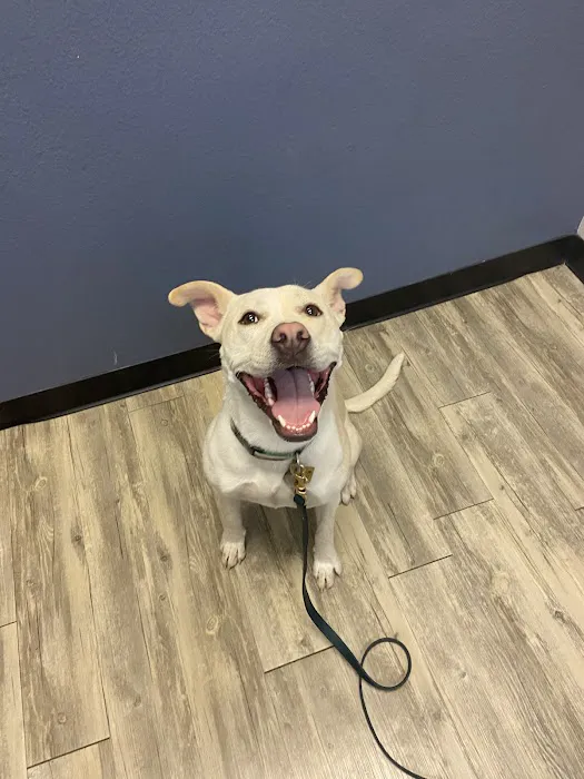 Aspen View Veterinary Hospital 6