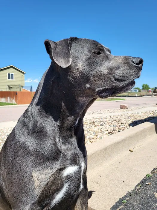 Aspen View Veterinary Hospital 10