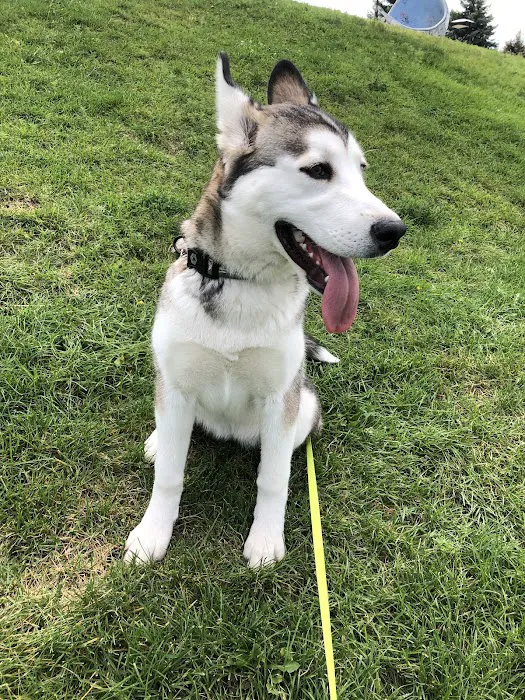 East Springs Animal Hospital 6