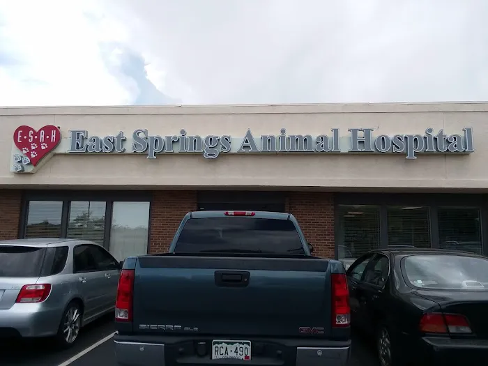 East Springs Animal Hospital 8