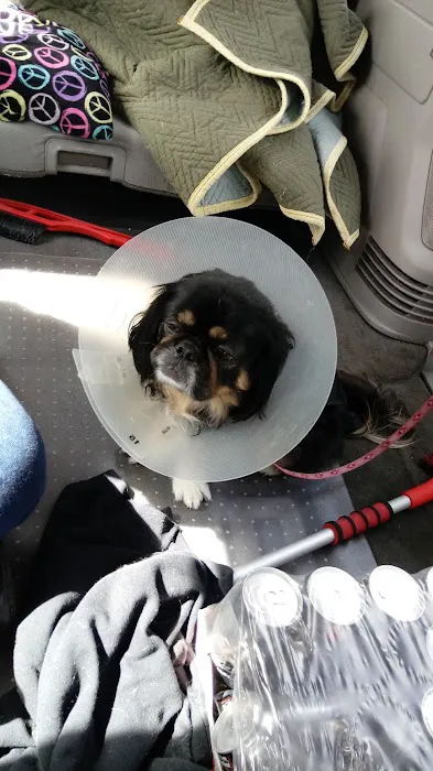 Our Family Vet 2
