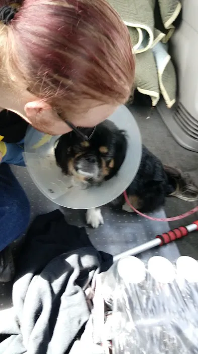 Our Family Vet 5
