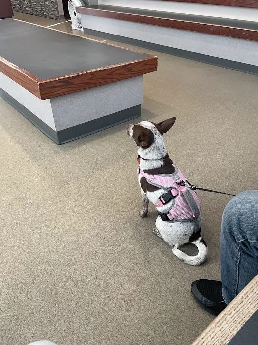 Hamlett Spay & Neuter Clinic 1