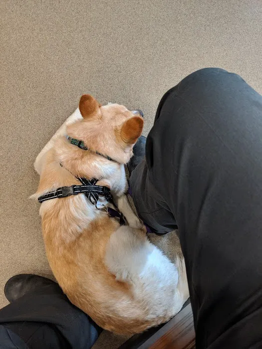 Hamlett Spay & Neuter Clinic 9
