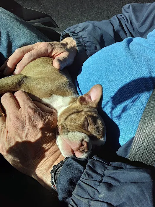 Hamlett Spay & Neuter Clinic 10