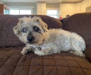 Rehoboth Beach Animal Hospital