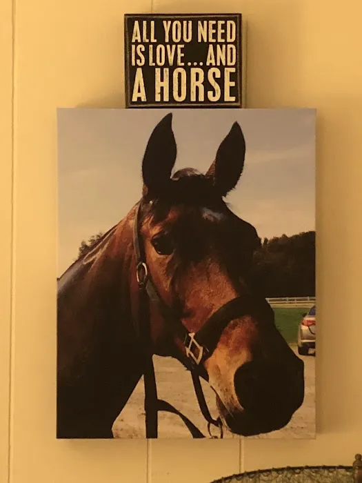 Cokesbury Veterinary Services (Equine Only) 12