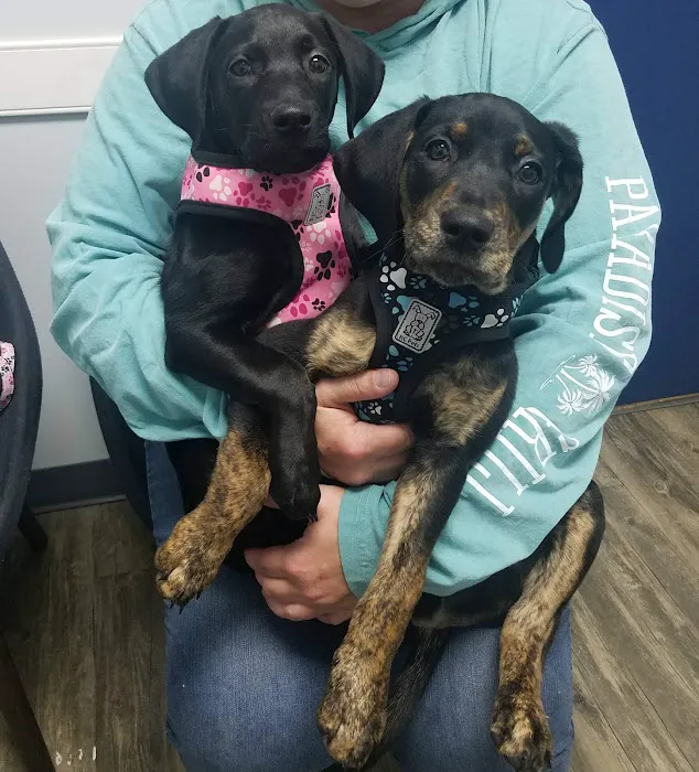 Peninsula Veterinary Services 12