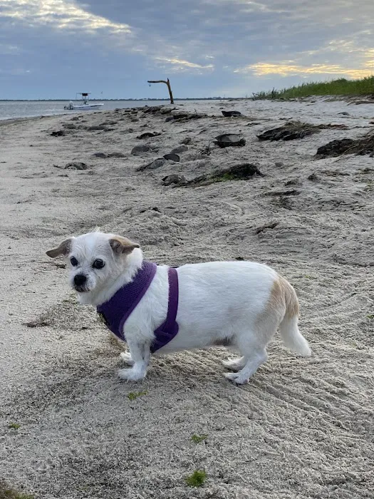 Millsboro Animal Hospital 12