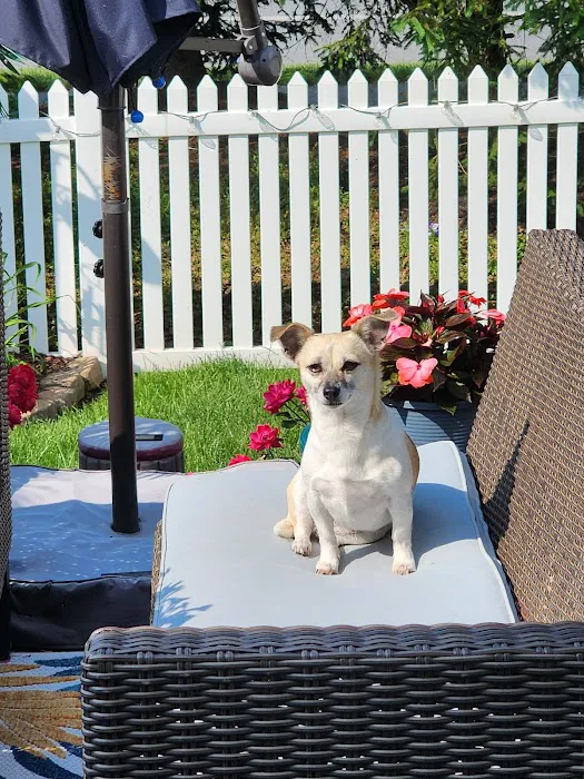 Millsboro Animal Hospital 12