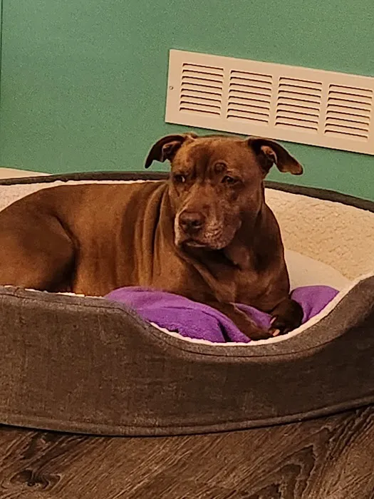 Millsboro Animal Hospital 12