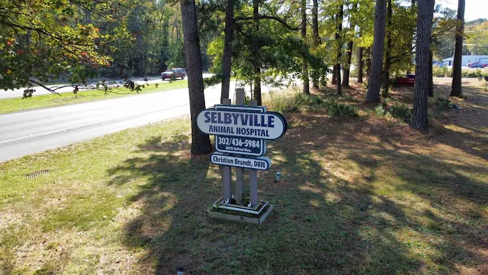 Crossroads Veterinary Clinic/Selbyville Animal Hospital 12