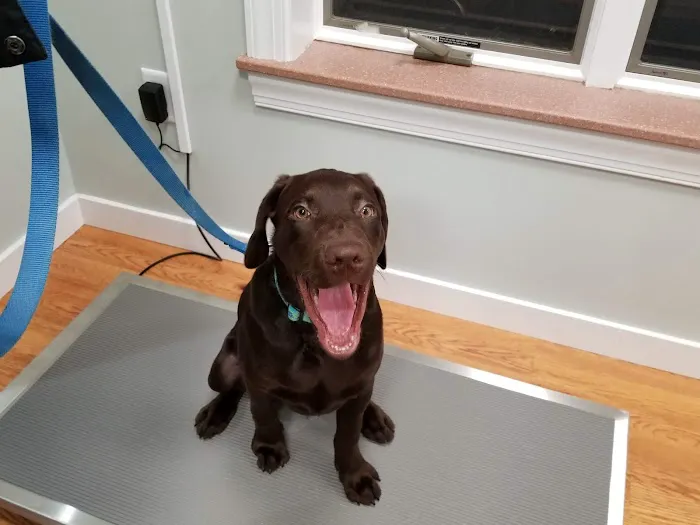 Coastal Veterinary 12