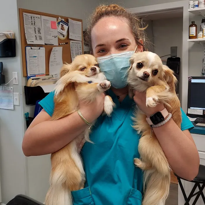 Coastal Veterinary 12