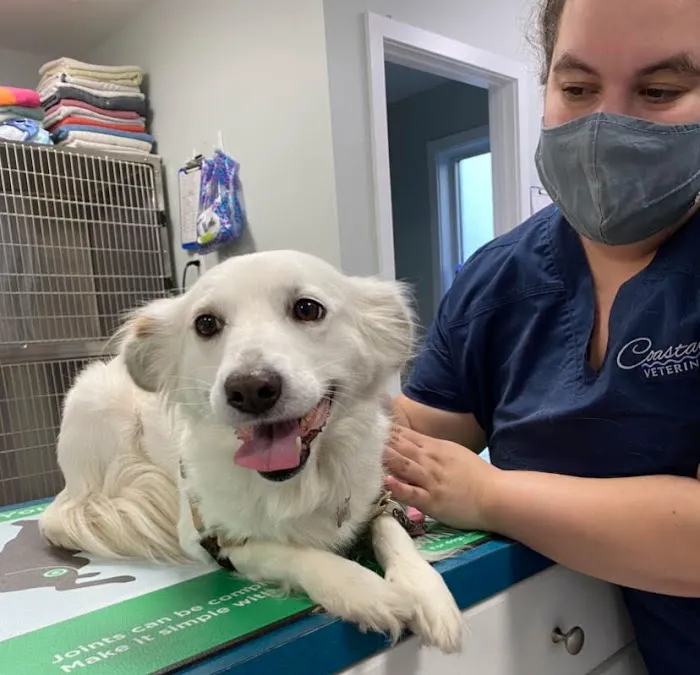 Coastal Veterinary 12