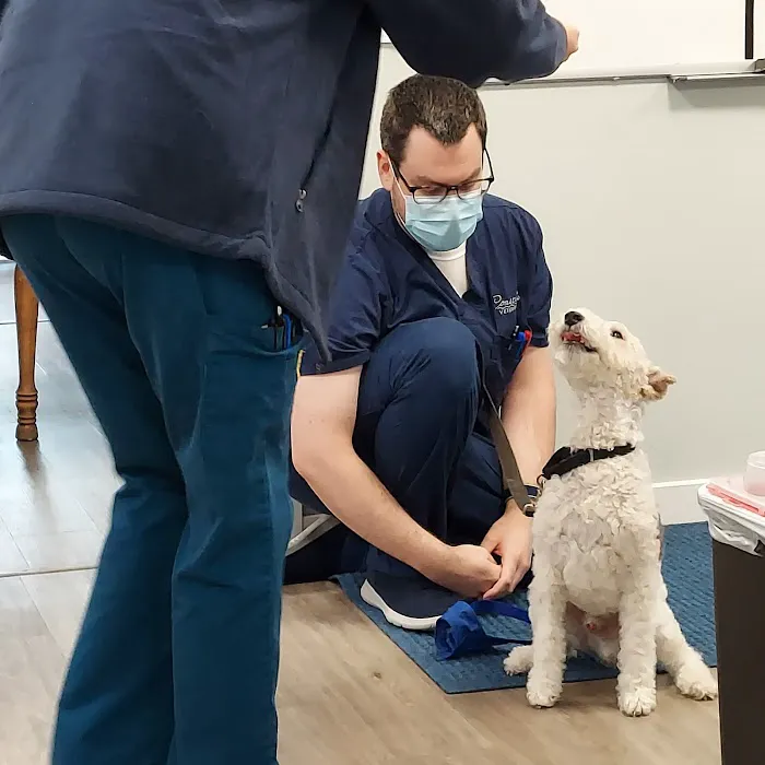 Coastal Veterinary 12