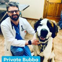 Southern Ocean Animal Hospital ico