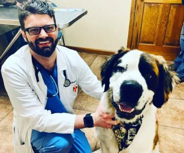 Southern Ocean Animal Hospital