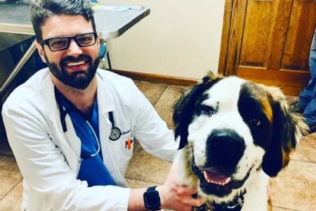 Southern Ocean Animal Hospital
