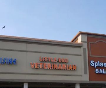 Little Egg Veterinarian