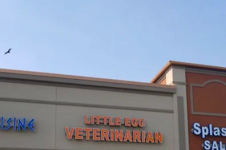 Little Egg Veterinarian
