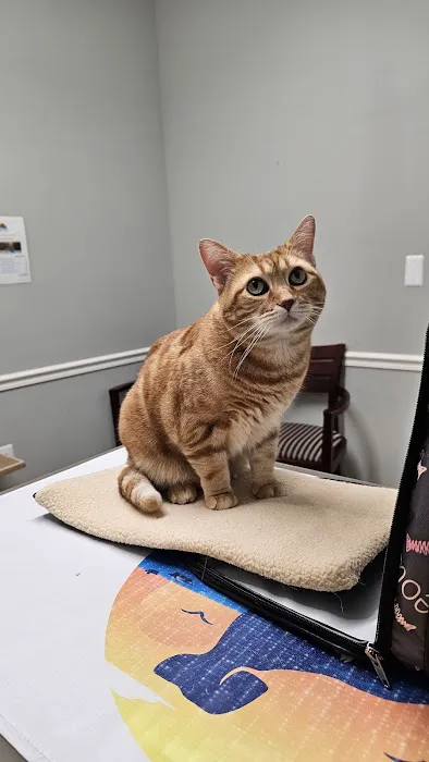 Seaport Veterinary Center 12