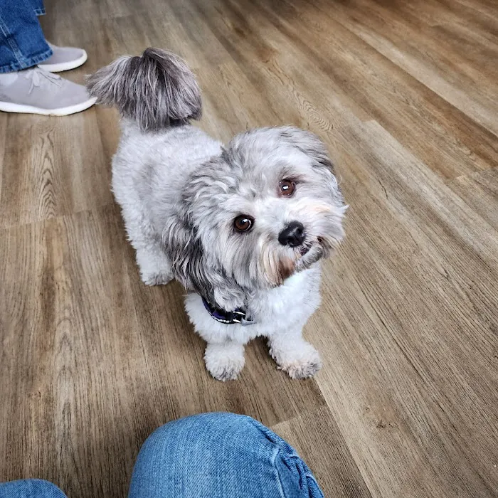 Seaport Veterinary Center 12