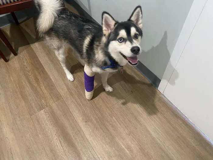 Seaport Veterinary Center 12