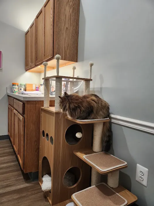 Seaport Veterinary Center 12