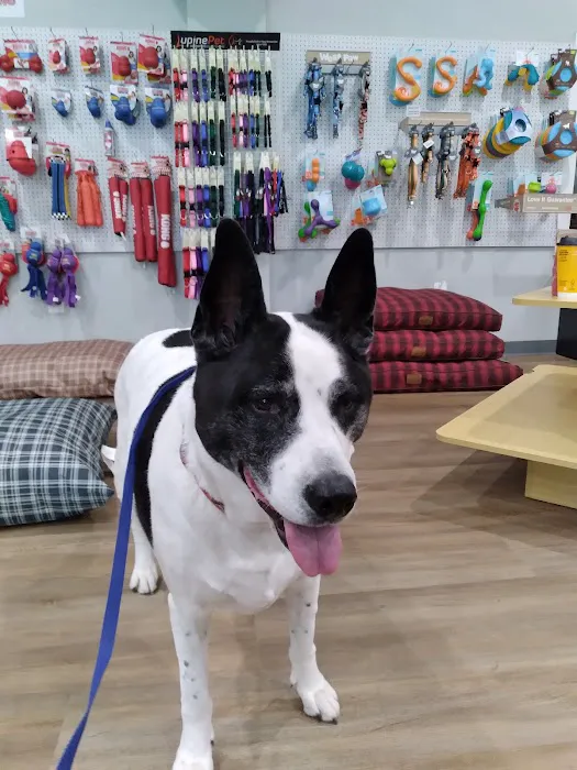 Seaport Veterinary Center 12