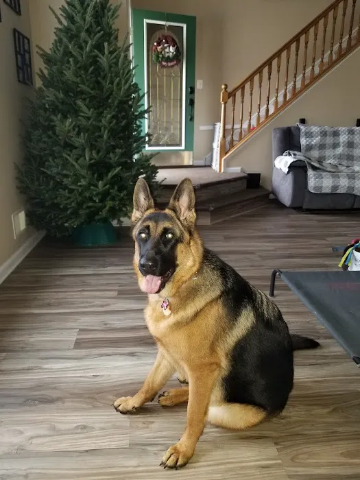 Seaport Veterinary Center 12