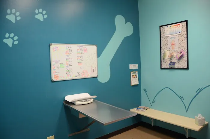 Pana Animal Hospital 9