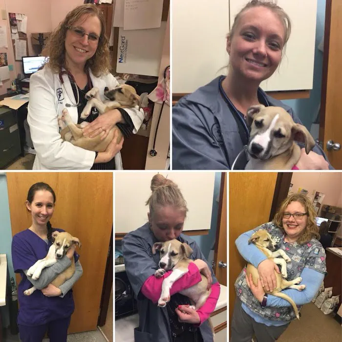 Pana Animal Hospital 8